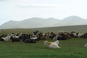 Озеро Сон-Куль Кыргызстан